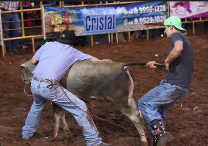 1000144202.jpg 1000144202.jpg