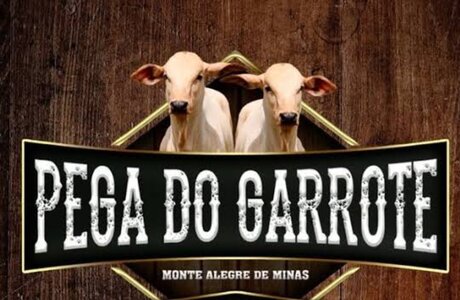 1000144204.jpg 1000144204.jpg