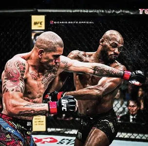 pereira jones (1).webp