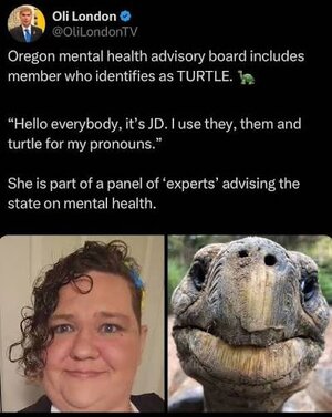 images (33).jpeg