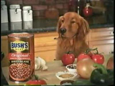 1761138185010.png 1761138185010.png