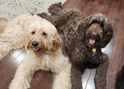 IMG_20251105_002550 (1).jpg