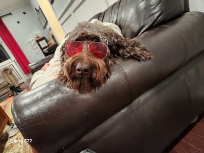 IMG_20251105_002550 (2).jpg