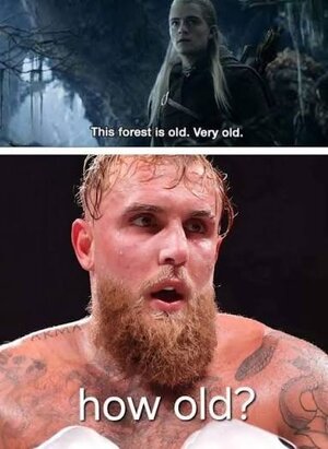 images - 2025-11-09T154335.699.jpeg images - 2025-11-09T154335.699.jpeg