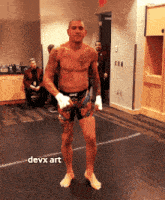 ufc.gif