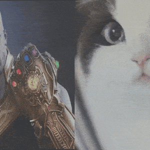 Meowfinity.gif
