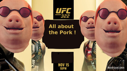 UFC poster.jpg