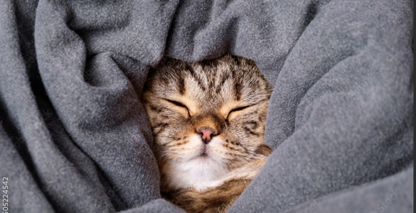 1763667117667.png 1763667117667.png