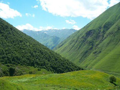 1763738311650.jpeg 1763738311650.jpeg