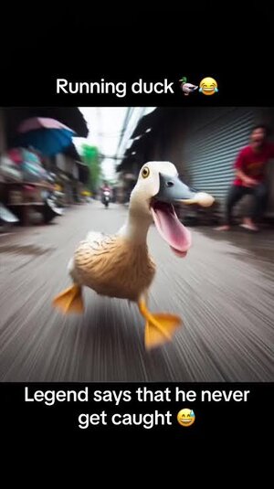 images - 2025-11-21T211253.421.jpeg