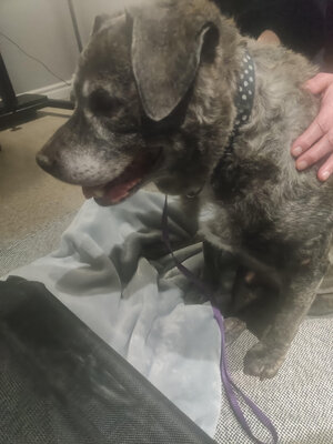 unnamed (1).jpg unnamed (1).jpg