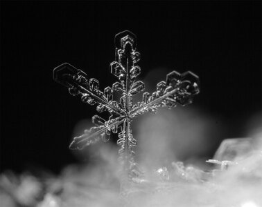 flake.jpg