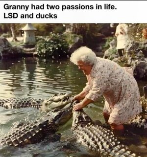 IMG_0029.jpeg IMG_0029.jpeg