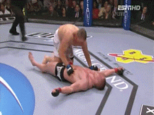 28iumw4.gif 28iumw4.gif