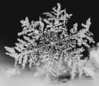 flake10.jpg