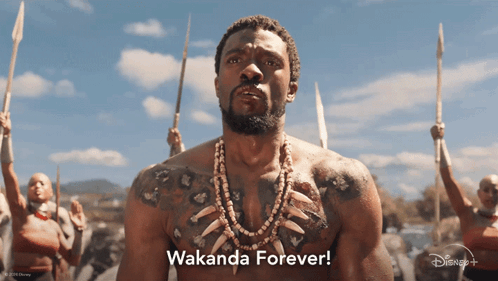 wakanda-forever-t'challa.gif