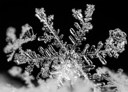 flake17.jpg