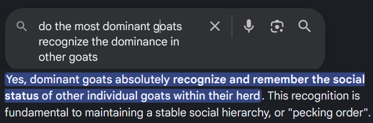 1767716417288.png 1767716417288.png