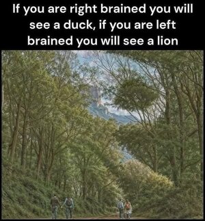 577073085_10234759611643311_6044917104836249179_n.jpg 577073085_10234759611643311_6044917104836249179_n.jpg