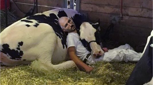 shoop BWR Groovy working-hard.jpg