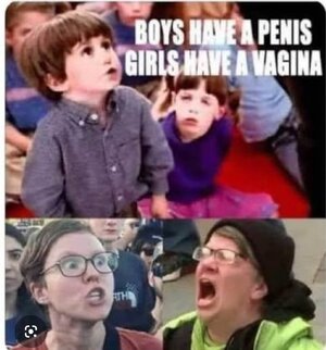 Screenshot_20260209_130113_Google.jpg Screenshot_20260209_130113_Google.jpg