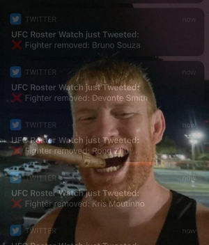 1770787803735.png 1770787803735.png