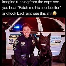 police dog.jpeg