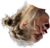 sharpei-rousey-upside-down.png