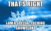 snowflake.gif