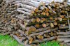 9237745-Big-bunch-of-cut-fire-wood-logs-Stock-Photo.jpg