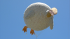 chicken.png