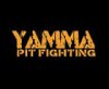 YAMMA.jpg