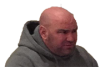 dana2.png