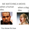me-watching-a-movie-when-a-human-when-a-dog-8596679.png