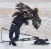 golden-eagle-attacks-cameraman-1.jpg