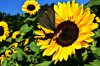 PicsArt_12-04-05.02.10.jpg