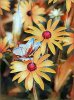 PicsArt_12-05-03.36.52.jpg