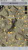 428FC778-081E-492A-8815-F7A039EA2BCD.png