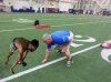 rps20171211_191855.jpg