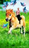 PicsArt_12-12-03.56.49.jpg