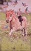 PicsArt_12-12-03.56.23.jpg
