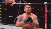 UFCFightNight61-AntonioSilva-FrankMir-04-Clapping-sg.gif