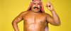 iron-sheik-33fsrvar0yttttefwt21ai.jpg