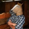 horse-mask_stable_grande.jpg