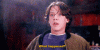 tenor-31.gif