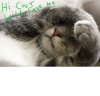 OMYQFc5.png