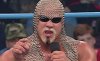 ScottSteiner-600x366.jpg