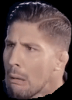 schaub.png