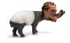 jj-tapir.png