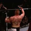 lesnar-f-you-new.gif